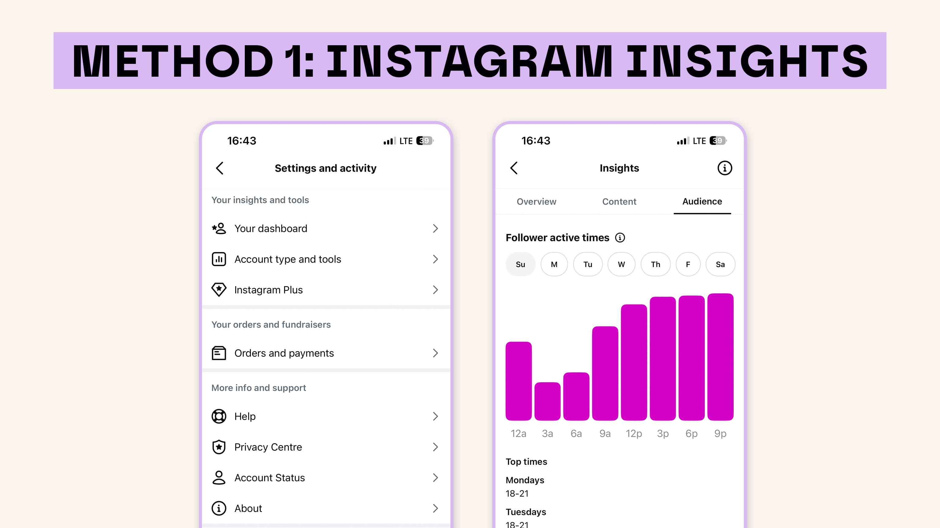 Instagram Insights Infographic